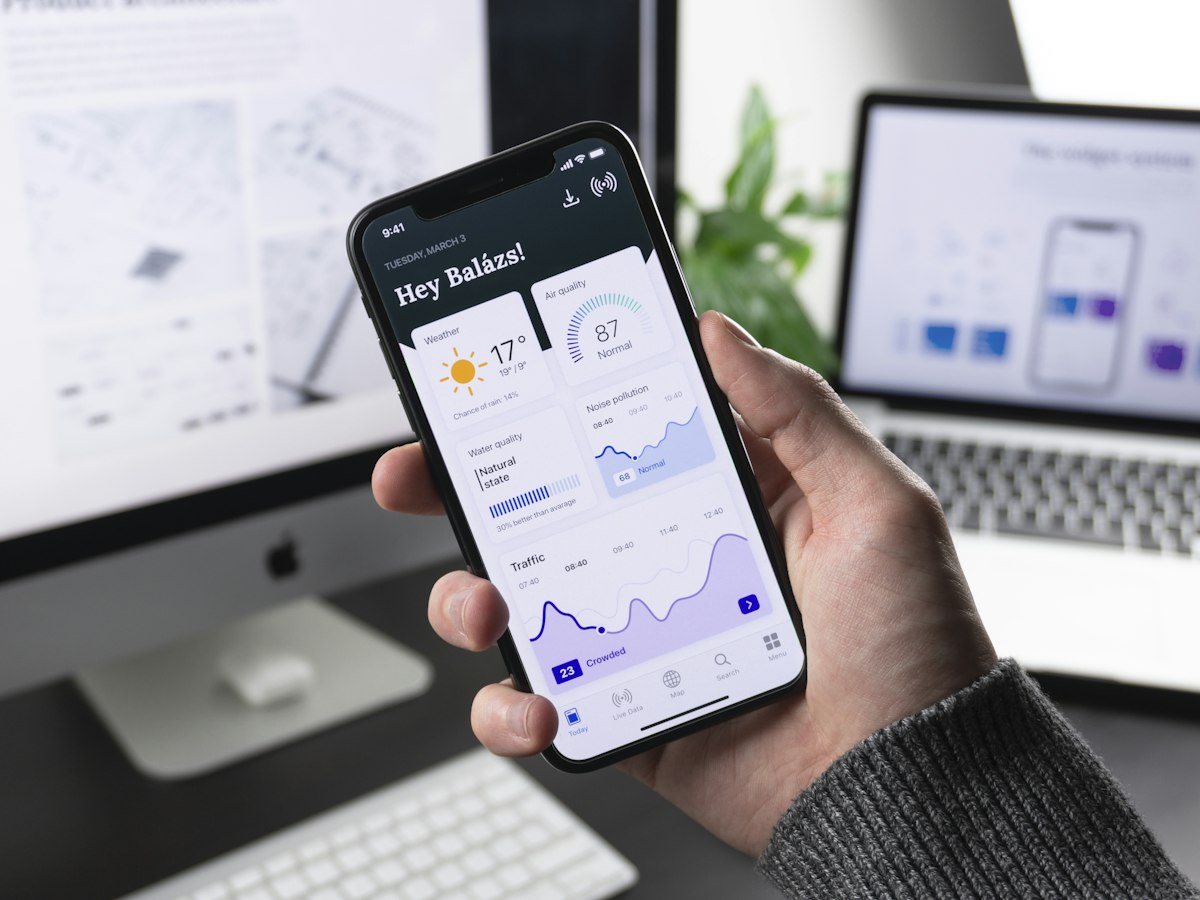 SaaS interface